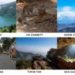6 Best Places to Visit in Nainital