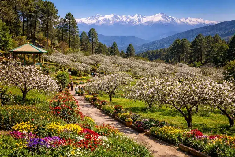Nainital Ranikhet Tour Package from Delhi